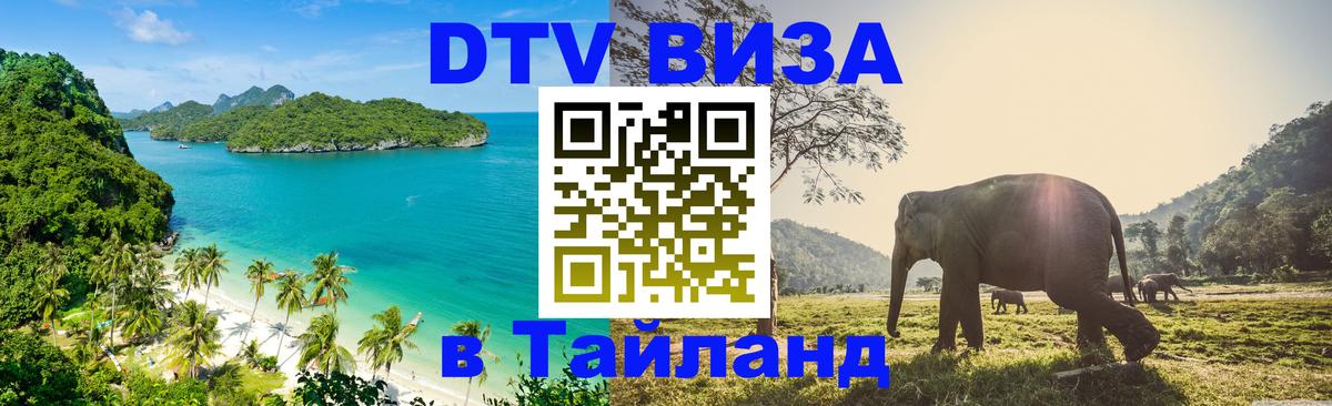 Сколько стоит DTV виза — актуальные цены, оформление даже без документов - Нижний Новгород  08.01.2026 